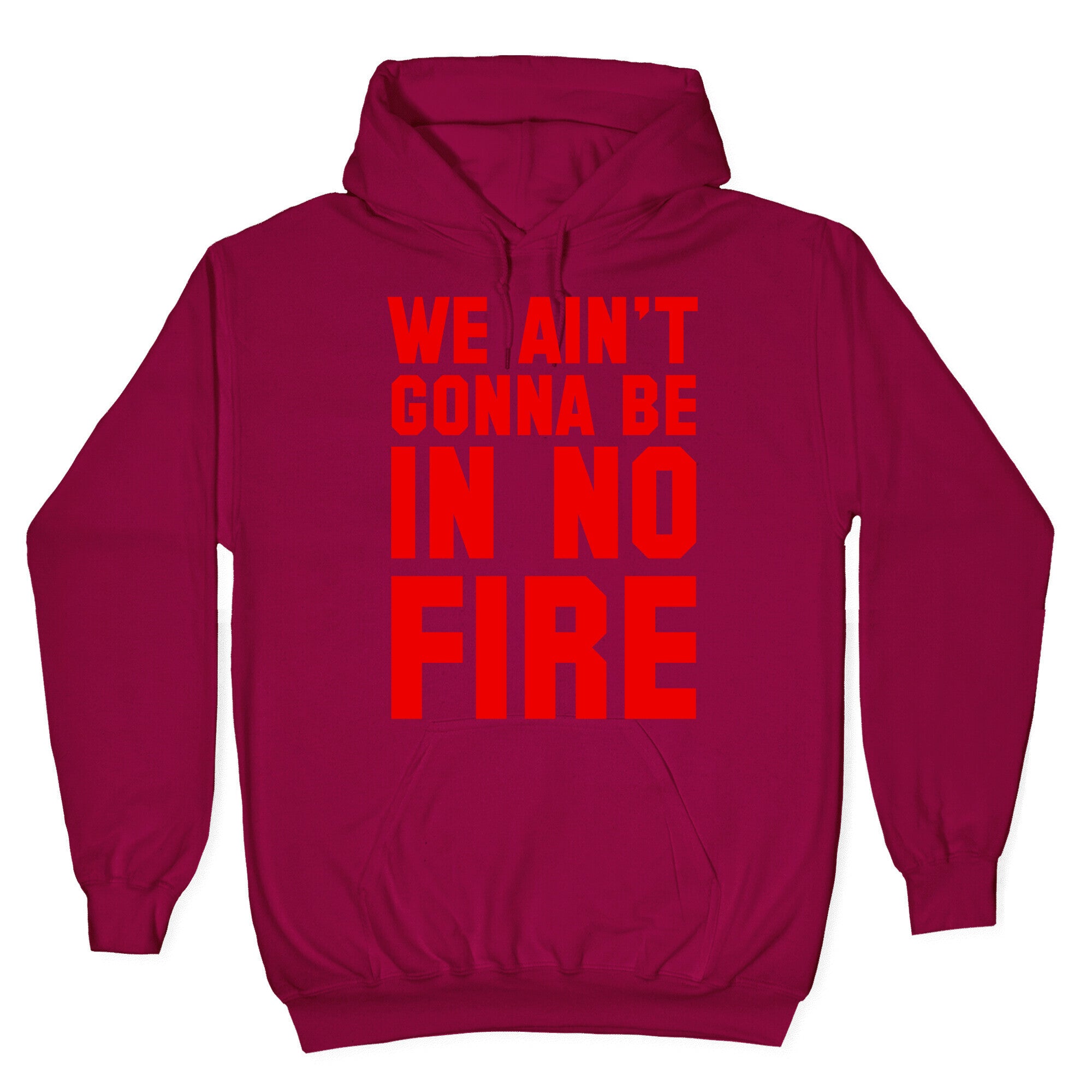 We Ain't Gonna Be in No Fire Hoodie